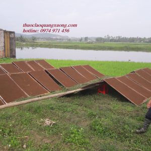 Thuốc lào Thanh Hóa, Thuốc lào Hảo Hạng