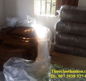 Thuốc lào Thanh Hóa loại êm say, được phơi khô, đóng bao để bảo quản lâu dài