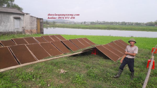 Thuốc lào Thanh Hóa giao hàng nhanh chóng
