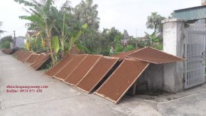 Thuốc lào Thanh Hóa giao hàng nhanh chóng