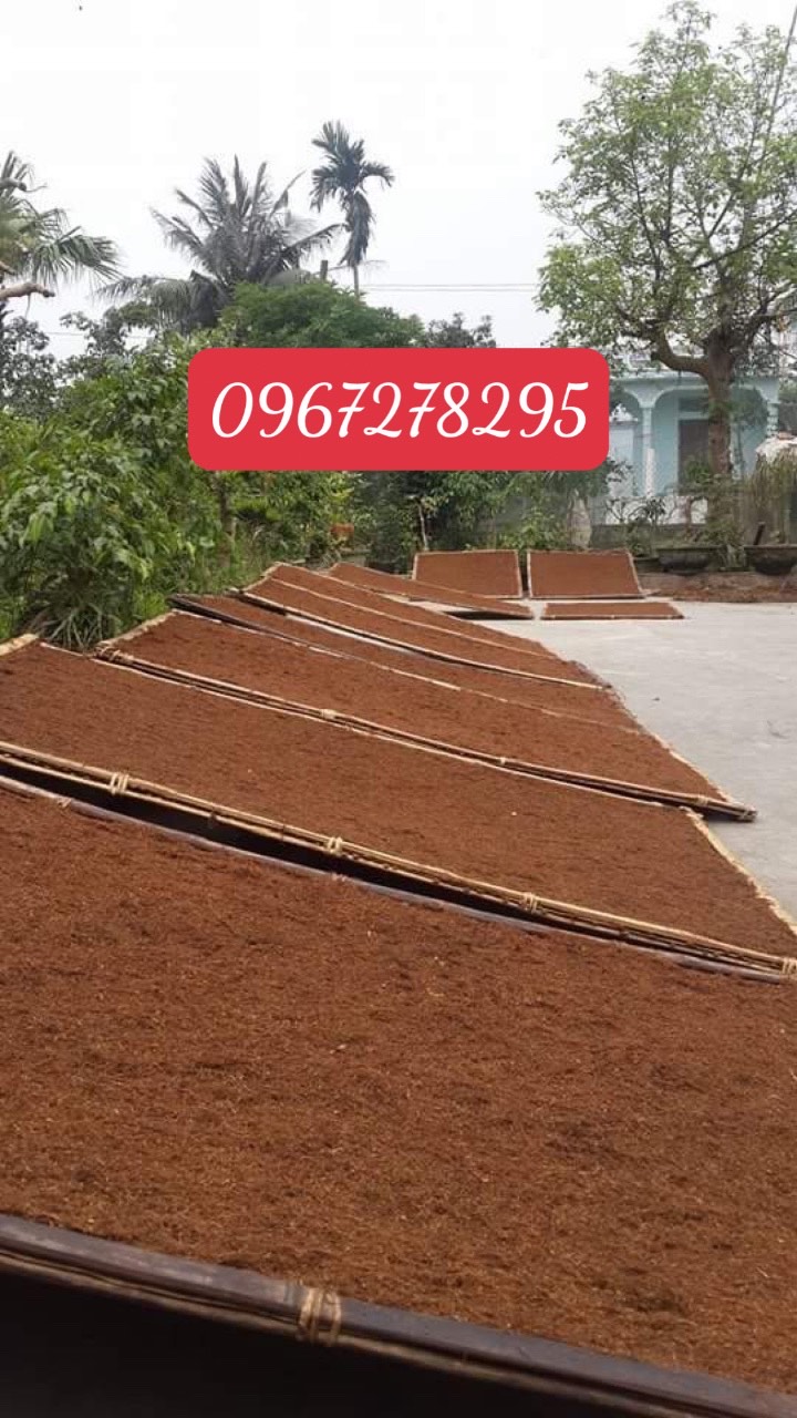 Thuốc lào thanh hóa đặc biệt giá rẻ