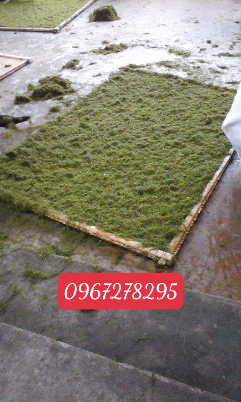 Bỏ túi địa chỉ thuốc lào Thanh Hóa loại 1 tại quận Long Biên