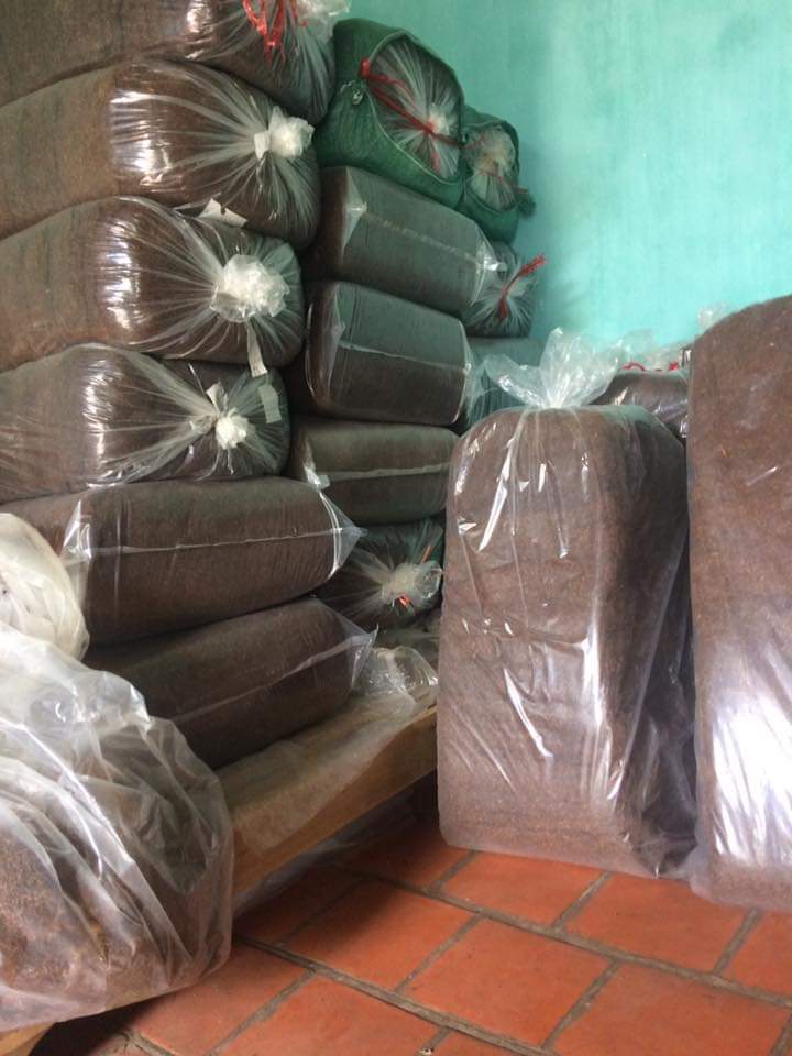 Thuốc lào Thanh Hóa quảng xương