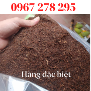 Thuốc lào Thanh Hóa