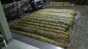 Lá thuốc lào được cuộn lại từng vè, để ủ vàng trong vòng 4-5 ngày trước khi mang đi thái thành sợi